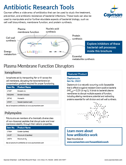 <p>Antibiotic Research Tools<br></p>